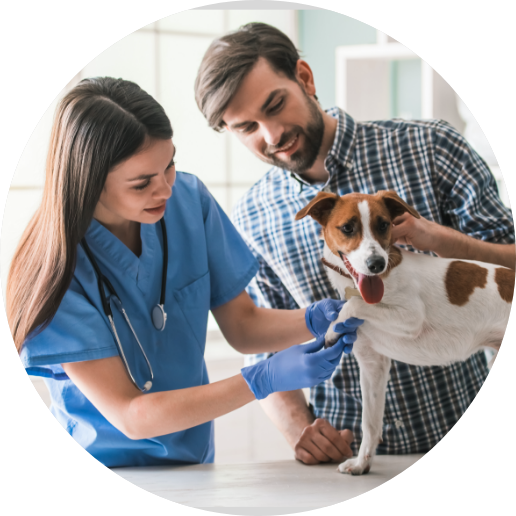 Vet and owner with dog